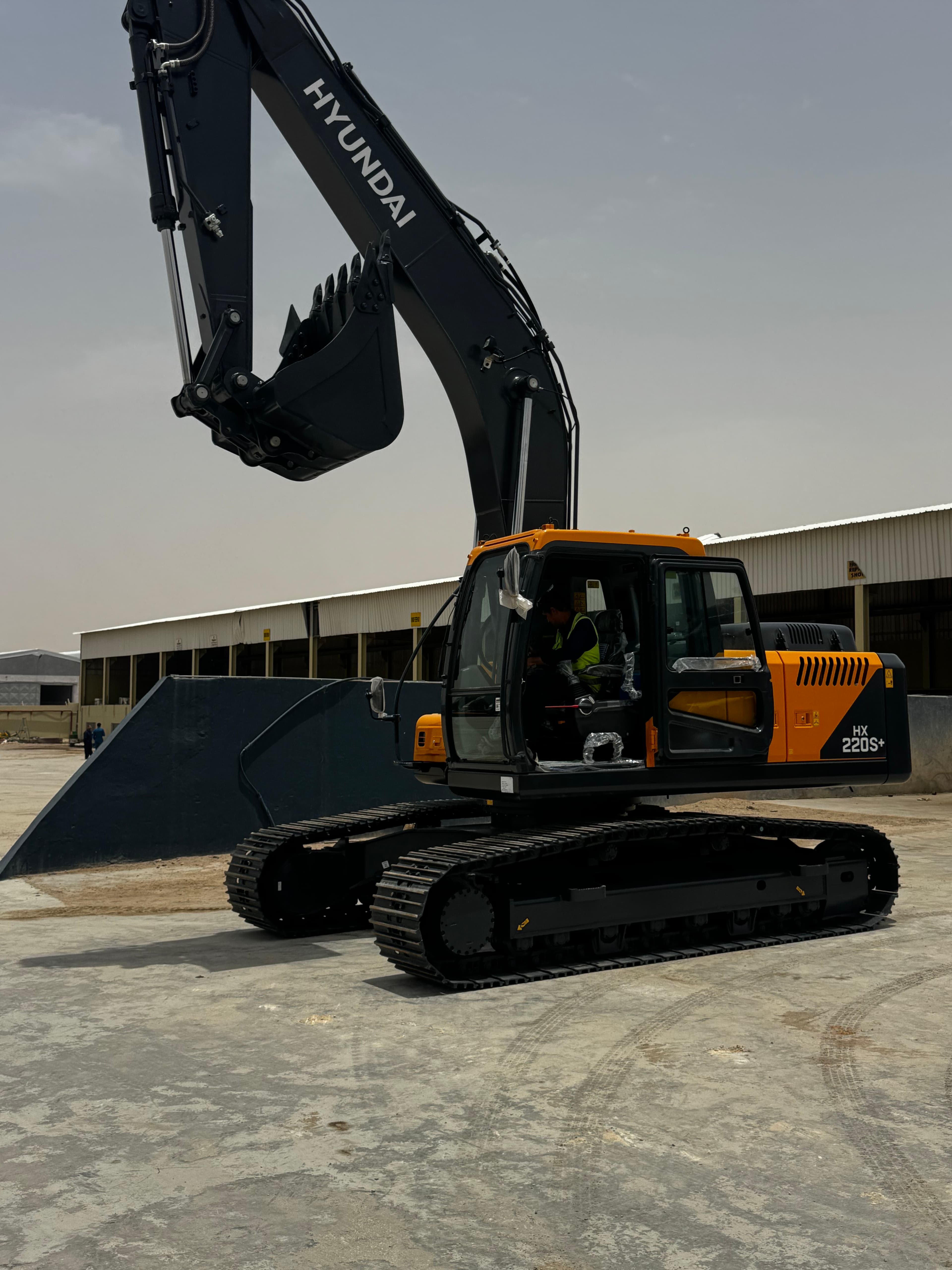 الرياض
