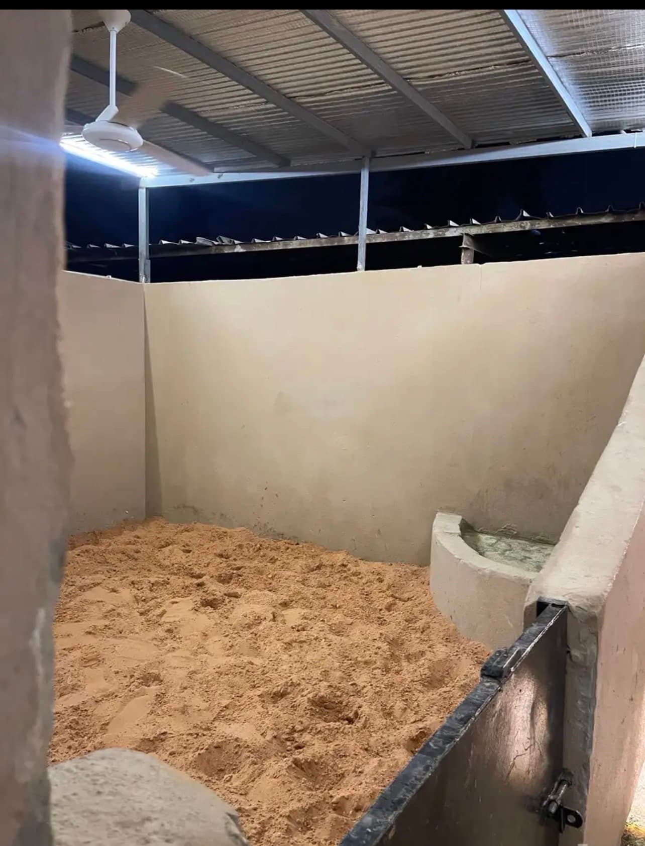 ايواء خيل ايجار شهري